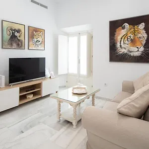 Animalia Cádiz
